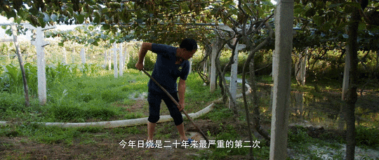 1699583725522026867.gif